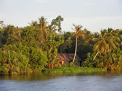 Les rives du Mekong